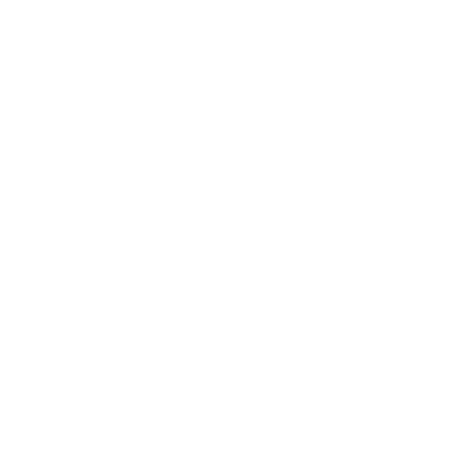 email-white-icon