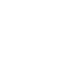 phone-icon